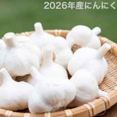 画像1: 【送料込】にんにく (1)