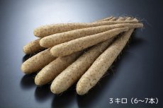 画像2: 【送料無料】長芋 ３kg (2)