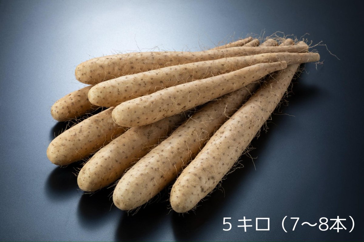 画像2: 【送料無料】長芋 5kg (2)
