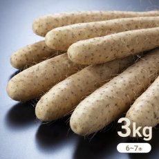 画像1: 【送料無料】長芋 ３kg (1)