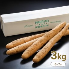画像1: 【送料無料】ネバリスター 3kg (1)