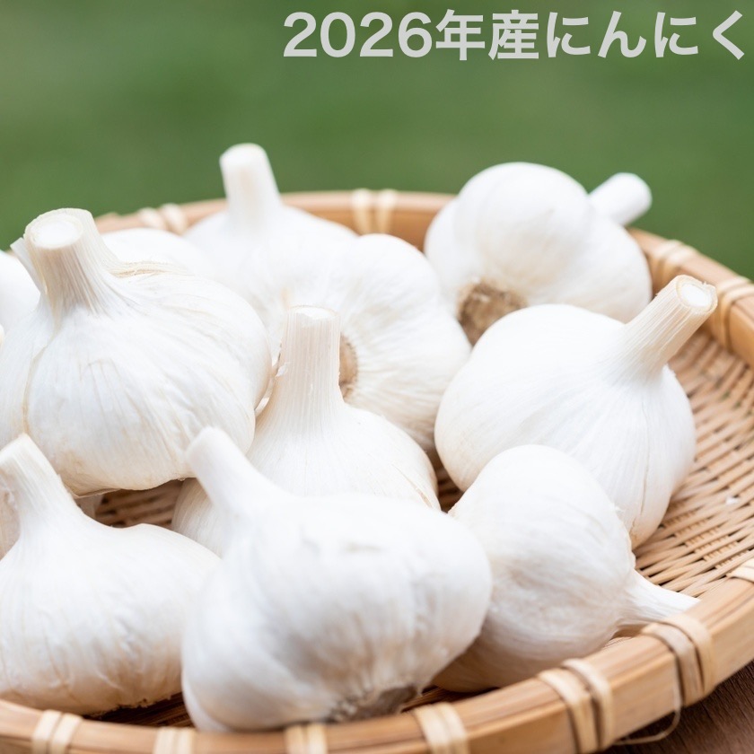 画像1: 【送料込】にんにく (1)